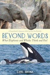 Beyond Words: What Elephants and Whales Think and Feel -A Young Reader|s Adaptation