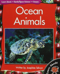 Ocean Animals