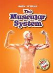 The Muscular System