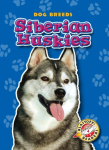 Siberian Huskies