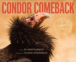 Condor Comeback -|Scientists in the Field|-