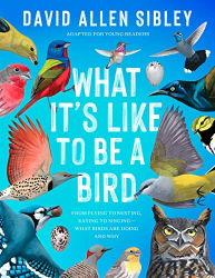What It|s Like to Be a Bird: From Flying to Nesting, Eating to Singing—What Birds Are Doing and Why