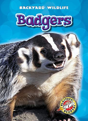 Badgers (Backyard Wildlife, Blastoff! Readers, Level 1)