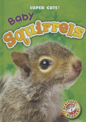 Baby Squirrels