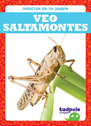 Veo Saltamontes (Tadpole, Insectos En Tu Jardin)