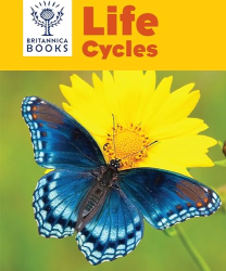 Life Cycles (Britannica Books)