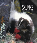Living Wild: Skunks