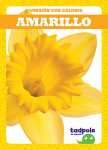 Amarillo (Tadpole, Diversion Con Colores)